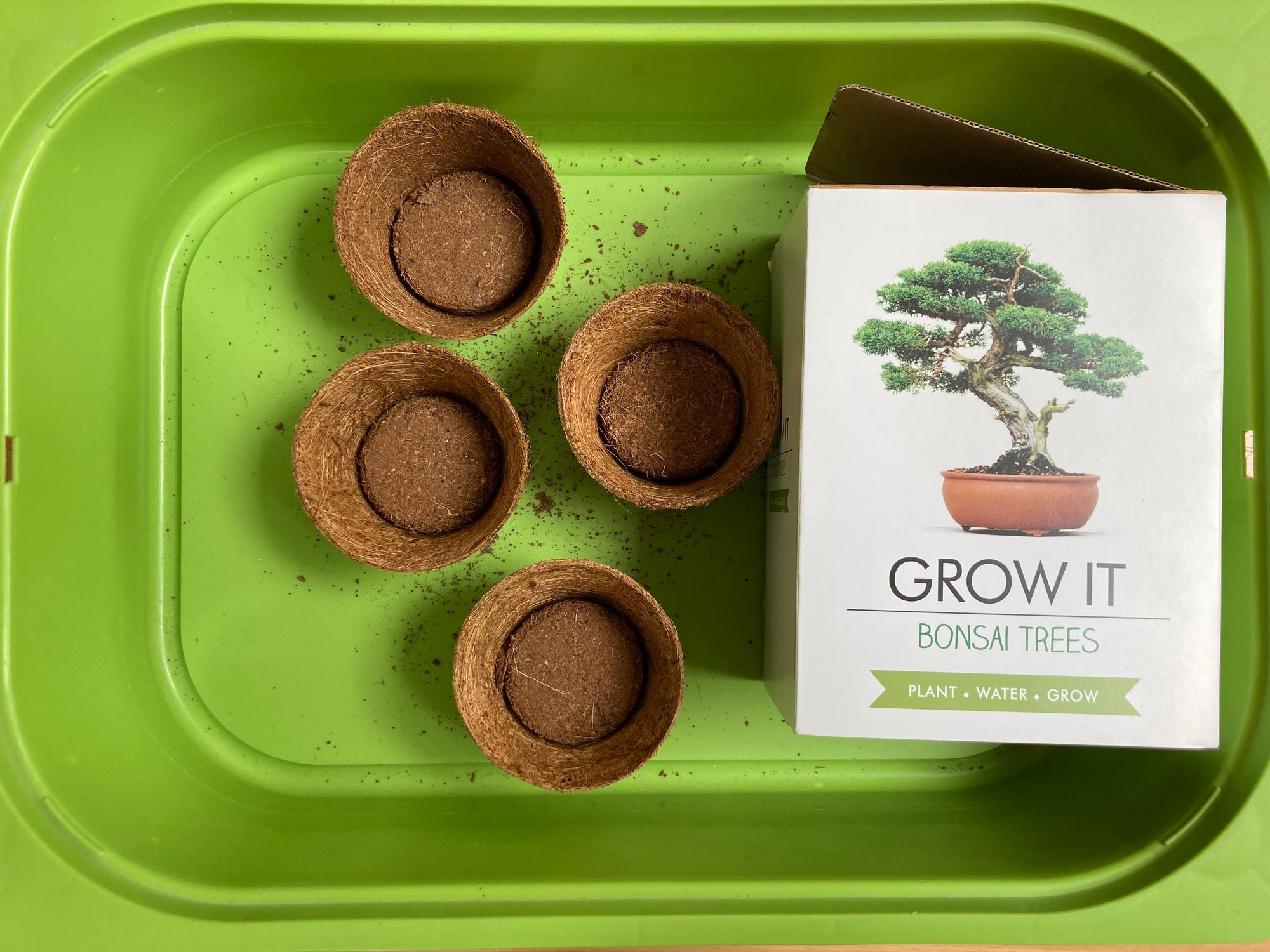 Bonsai tree growing kit