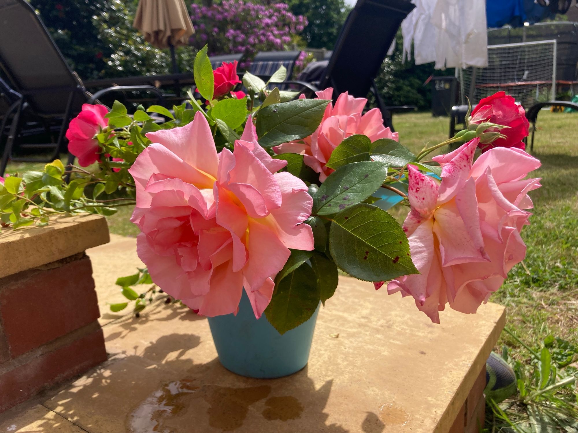 Cut flowers in a watering can